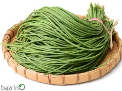 بذر لوبیا سبز رشته ای