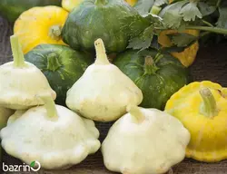 بذر کدو ستاره ای میکس