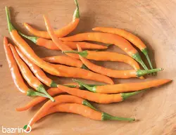 بذر فلفل قلمی تند نارنجی