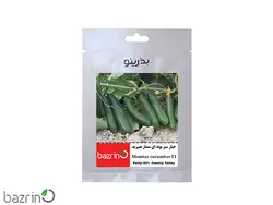 بذر خیار سبز بوته ای ممتاز F1