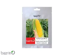 بذر ذرت بلال شیرین سمیرا F1
