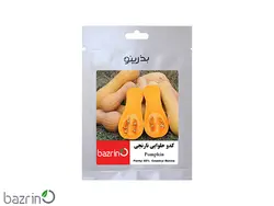 بذر کدو حلوایی نارنجی