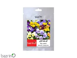 بذر گل بنفشه الوان