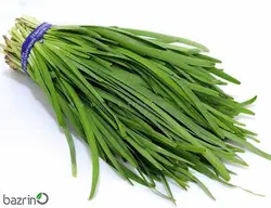 بذر تره محلی