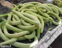 بذر خیار چنبر