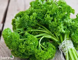 بذر جعفری فر F1