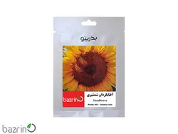 بذر آفتابگردان شمشیری