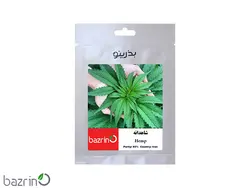 بذر شاهدانه