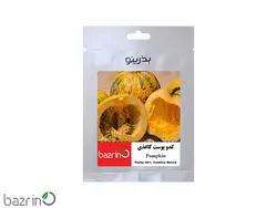 بذر کدو تخمه کاغذی