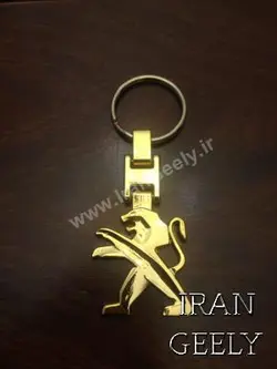 جا کلیدی طلایی پژو