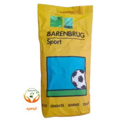 بذر چمن  5 تخم اسپرت بارنبروگ هلند | Barenbrug Sport