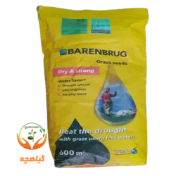 بذر چمن 4 تخم واتر سیور بارنبروگ هلند | Barenbrug Grass seeds