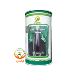 بذر بادمجان یلدا عنبری 100 گرمی | Yalda Anbari