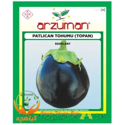 بذر بادمجان دلمه آرزومان ترکیه | Arzuman