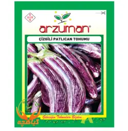 بذر بادمجان دو رنگ آرزومان | Arzuman