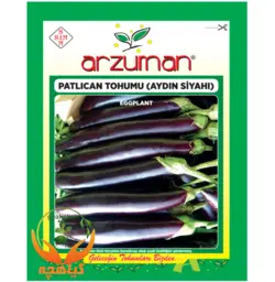 بذر بادمجان آیدین سیاهی آرزومان | Arzuman