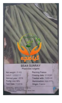 بذر لوبیا سبز سان ری گریفاتون فرانسه |  Sunray griffaton