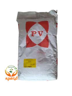 بذر لوبیا سبز سان ری پوپ ورن هلند | SUNRAY