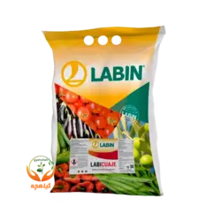 کود فروت ست لبیکاژ اسپانیا | LABICUAJE