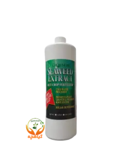 کود جلبک دریایی  گرومور آمریکا | SEAWEED EXTRACT