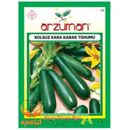بذر کدو خورشتی تیره آرزومان | Arzuman