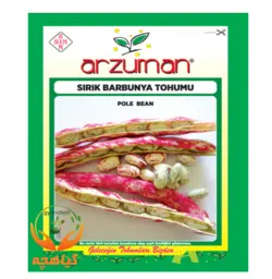 بذر لوبیا چیتی آرزومان | Arzuman