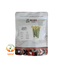 بذر کدو خورشتی بودم F1 بوئر سیدز اسپانیا | Bodem F1 BOER SEEDS