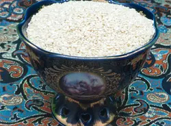 کنجد سفید