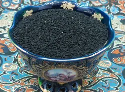 سیاه دانه