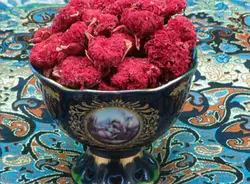 گلنار فارسی
