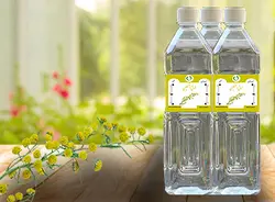 عرق افسنطین