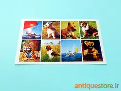 برچسب قدیمی حیوانات (1)