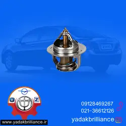 ترموستات آریو