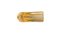 ست پنس سه عددی