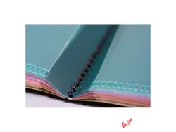 پوشه کارتابل پاپکو 20 خانه