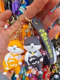 جاسوییچی طرح گربه خواننده