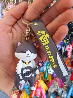 جاسوییچی طرح گربه خواننده