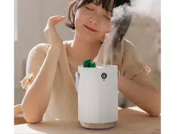 دستگاه بخور و رطوبت ساز Sothing Cactus Double Spray Humidifier
