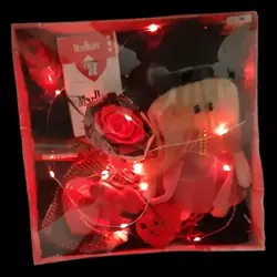 پک اقتصادی ولنتاین عروسک روسی با چراغ قرمز، سورپرایز عاشقانه‌