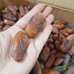 خرما ماکیلی