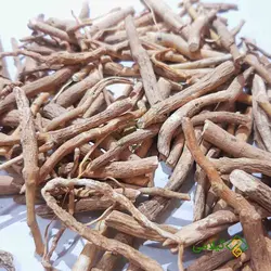 بوزیدان گیلامی (Gilamie Ashwagandha)