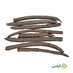 فلوس گیلامی (Gilamie Cassia Fistula)