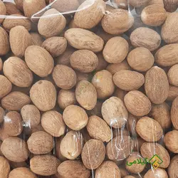 جوز هندی گیلامی ( Gilamie Nutmeg )