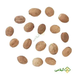 جوز هندی گیلامی ( Gilamie Nutmeg )