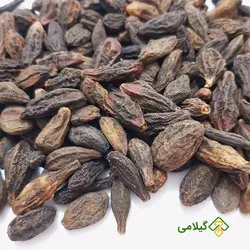 هلیله سیاه گیلامی (Gilamie Terminalia Chebula)
