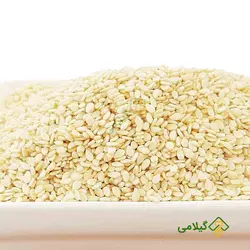 کنجد سفید گیلامی (Gilamie Sesame)