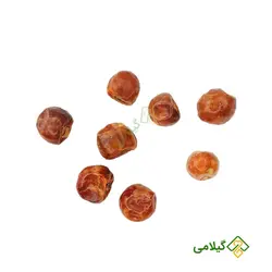فلفل عنابی گیلامی (Gilamie Jujube Pepper)
