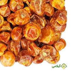 فلفل عنابی گیلامی (Gilamie Jujube Pepper)