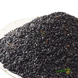 تخم ریحان گیلامی ( Gilamie Ocimum Basilicum )