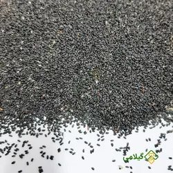 تخم شربتی گیلامی ( Gilamie Ocimum Ulbum )